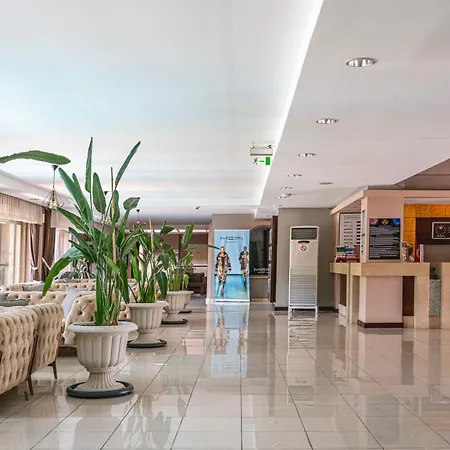 Hotel Dg Rose
