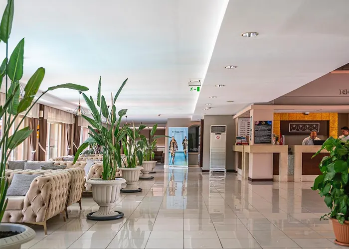 Hotel Dg Rose
